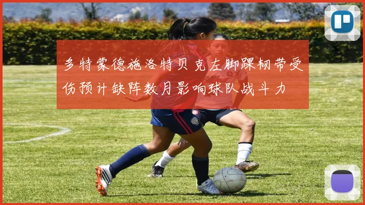 多特蒙德施洛特贝克左脚踝韧带受伤预计缺阵数月影响球队战斗力