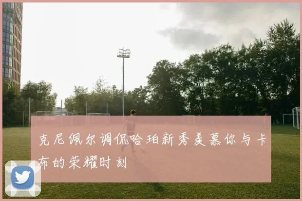 克尼佩尔调侃哈珀新秀羡慕你与卡布的荣耀时刻